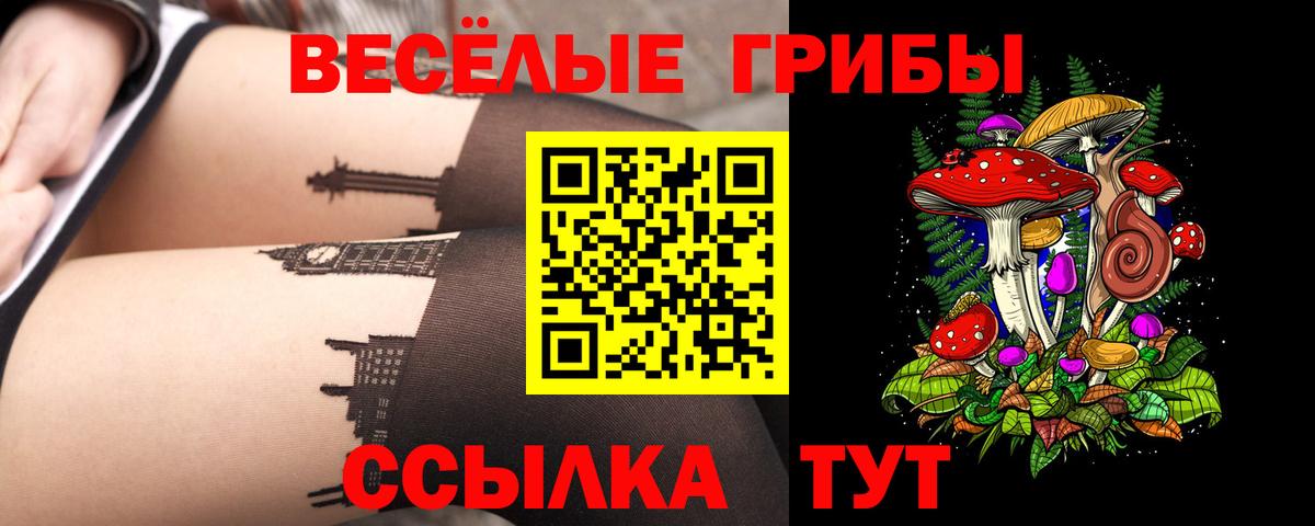 Галлюциногенные грибы Psilocybe Орехово-Зуево