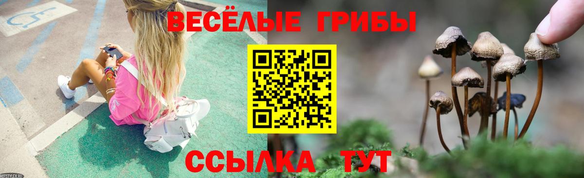 Галлюциногенные грибы мицелий  Вход с VPN  Псилоцибиновые грибы Psilocybine cubensis  Орехово-Зуево 